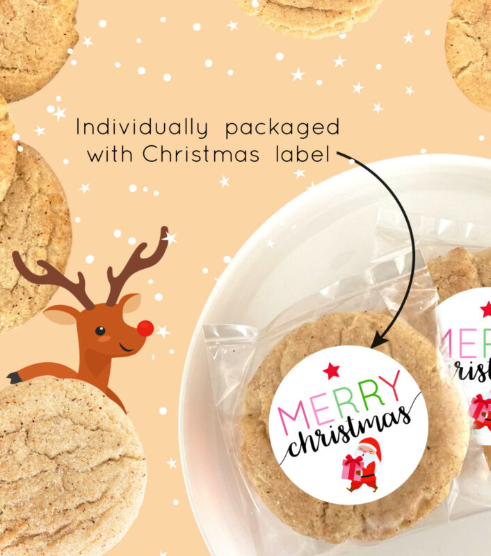 Vegan Christmas Homemade Cookie Favours