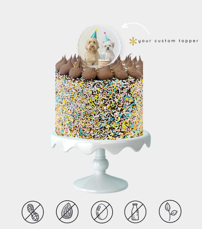 Custom Chocolate Confetti Cake