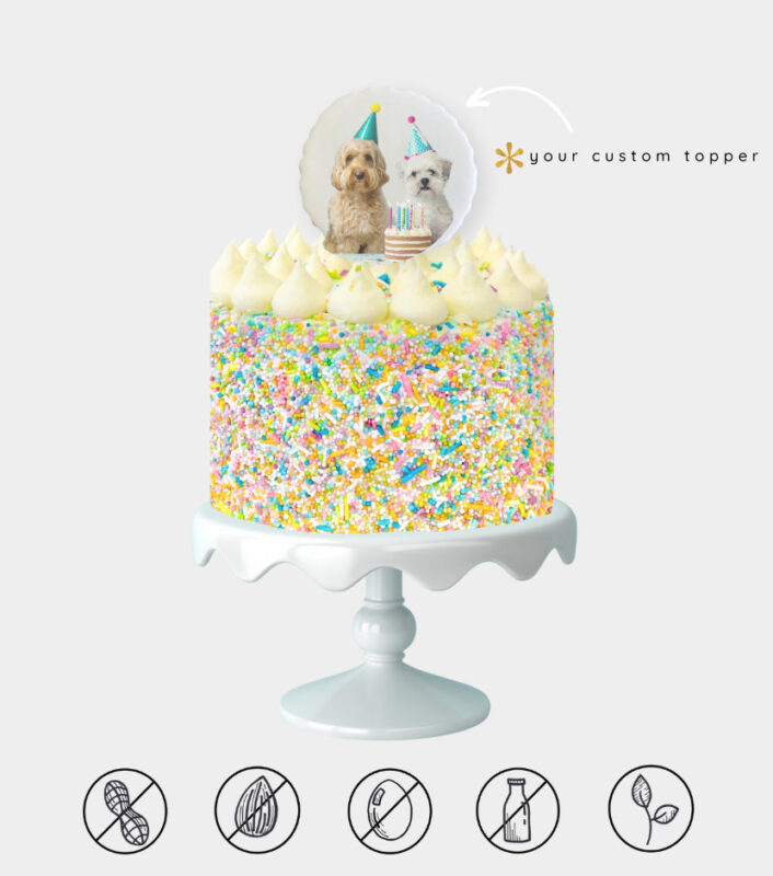 Custom Vanilla Confetti Cake