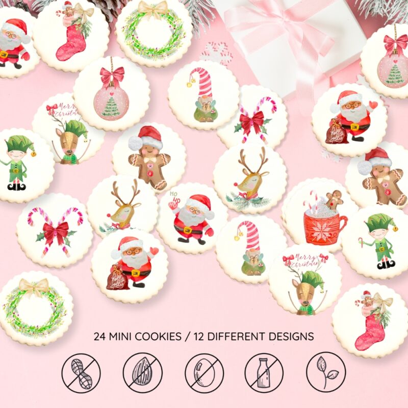 Christmas Mini Cookie Box