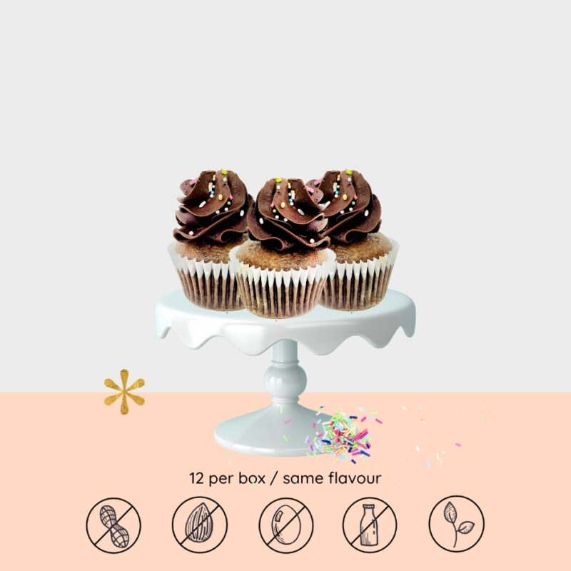 Chocolate Confetti Mini Cupcakes